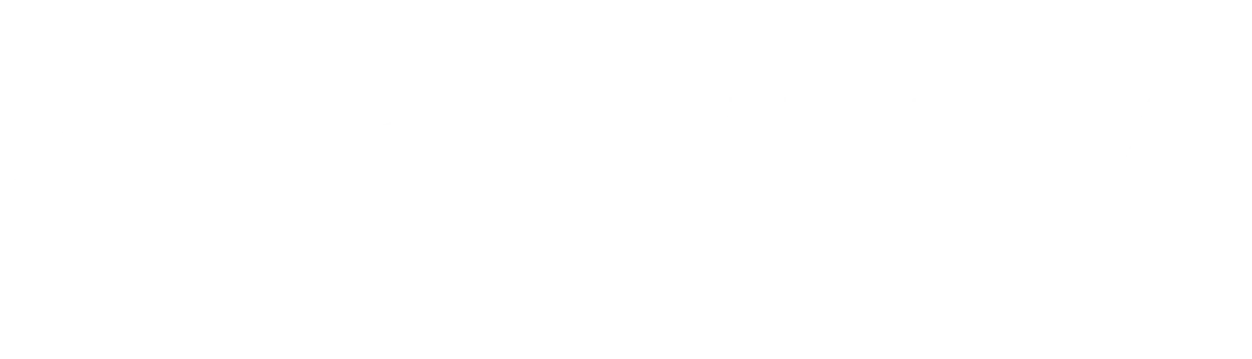Logo Dat Bike