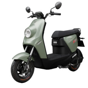 VinFast ZGoo 2025