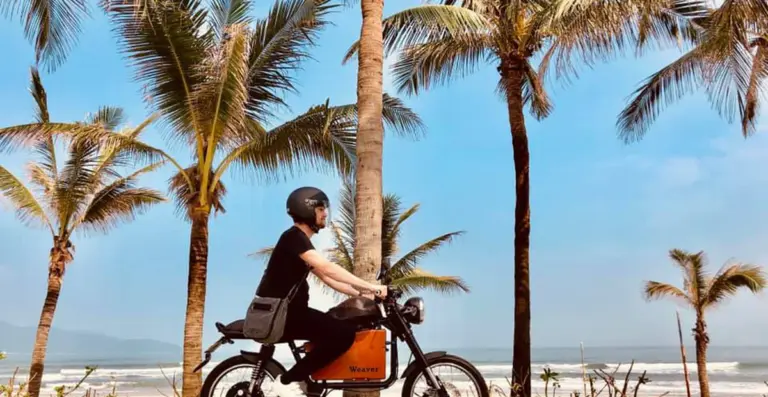 Dat Bike Weaver 200 – ảnh chính hãng Dat Bike 2